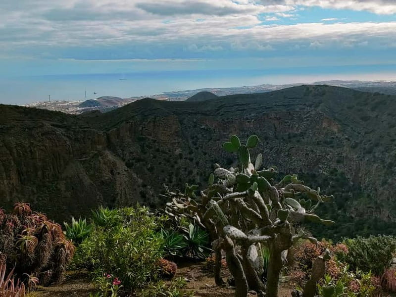 From Las Palmas: Half day tour Volcano Bandama & Vineyard - Bandama Volcano: why a “viewpoint stop” can actually teach you something