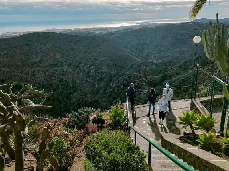 From Las Palmas: Half day tour Volcano Bandama & Vineyard - The pacing and stops: how the 4.5 hours actually feel