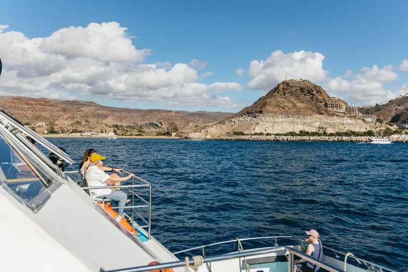 From Las Palmas: Highlights of Gran Canaria Day Tour - Key Things That Make This Day Tour Work