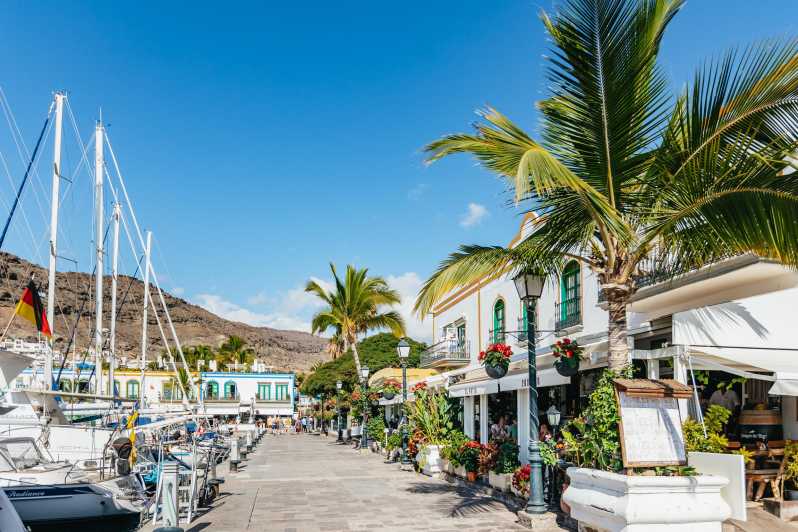 From Las Palmas: Highlights of Gran Canaria Day Tour - Pickup in Las Palmas: The Times You Should Plan Around