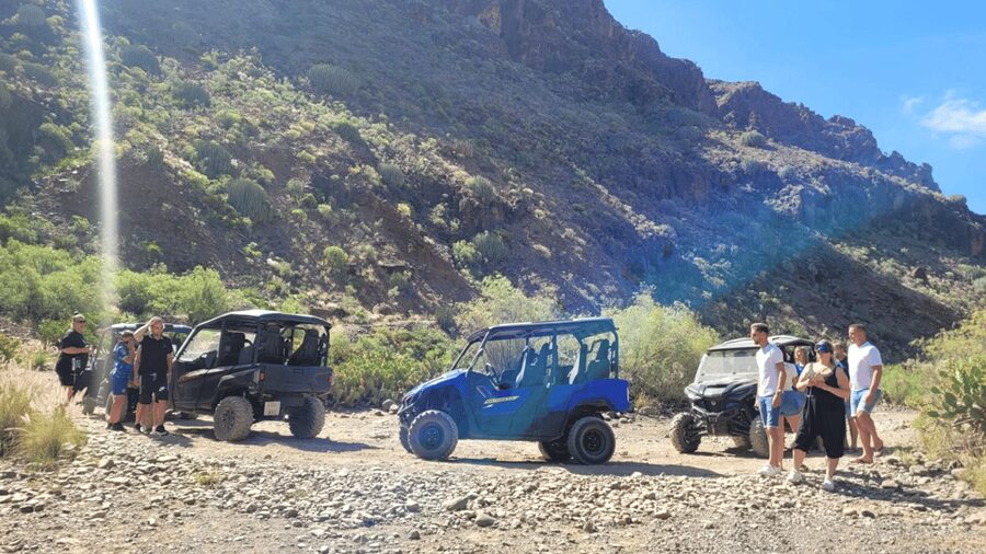 From Maspalomas: Volcanic Landscapes 4-Seater Buggy Tour - Safety rules that matter before you climb in
