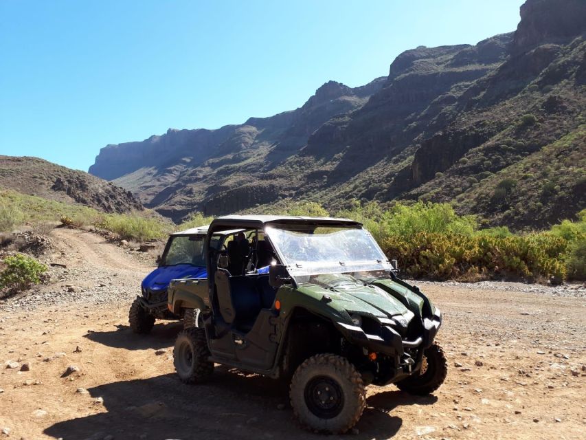 From Maspalomas: Volcanic Landscapes 4-Seater Buggy Tour - Price and value: is $177 per group up to 2 fair?