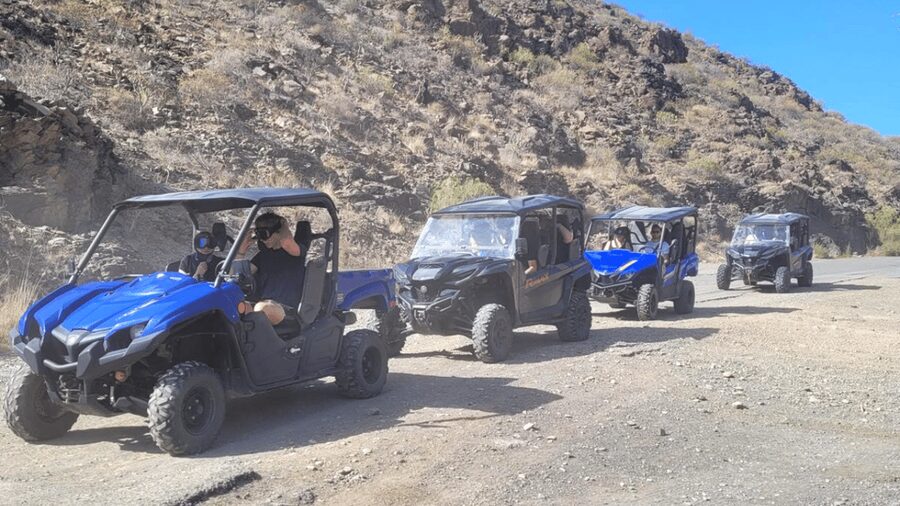 From Maspalomas: Volcanic Landscapes 4-Seater Buggy Tour - Who should book this tour, and who should skip it