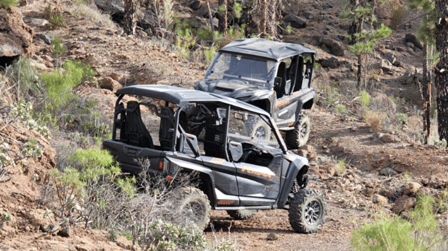 From Maspalomas: Volcanic Landscapes 4-Seater Buggy Tour - Hotel pickup in Maspalomas: quick, predictable, and worth it