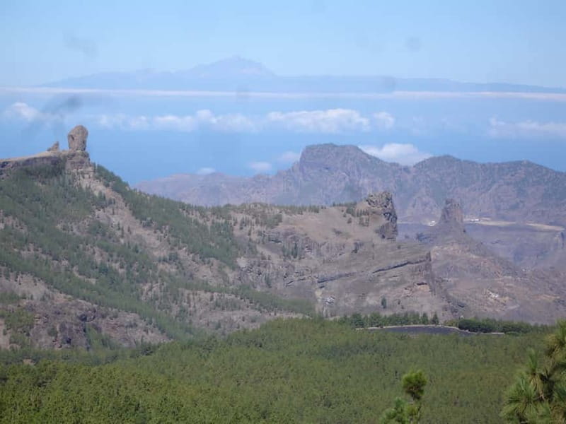 From Palmas: Pico de las Nieves & Roque Nublo Full-Day Trip - Key things to know before you go