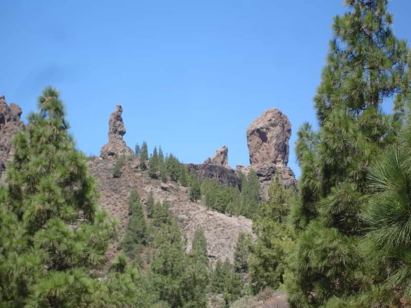 From Palmas: Pico de las Nieves & Roque Nublo Full-Day Trip - San Mateo on the way: A Saturday market shortcut to local life