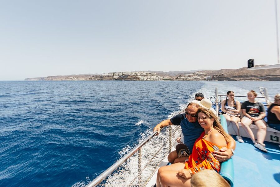 From Puerto Rico de Gran Canaria: Dolphin Watching Cruise - Crew and Ethics: The Reason This Feels Like Wildlife Watching, Not a Show