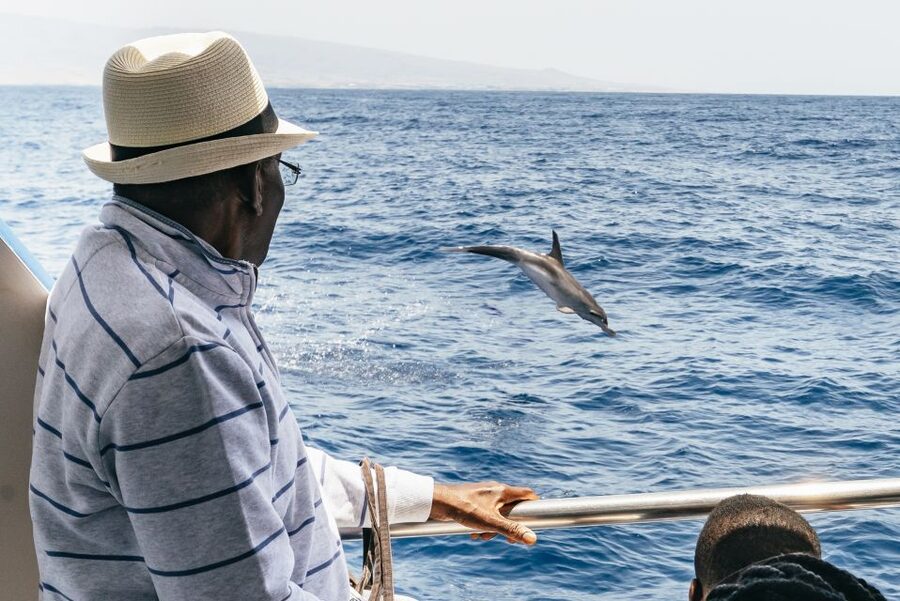 From Puerto Rico de Gran Canaria: Dolphin Watching Cruise - Seasickness Reality Check (Because the Atlantic Doesn’t Care)