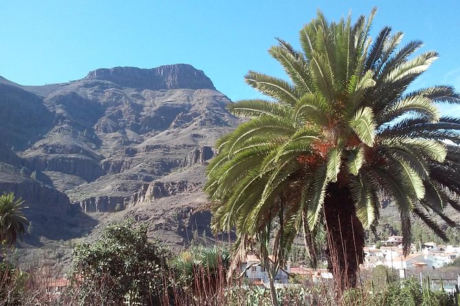 Full Day Across the Island Tour from Las Palmas - Why this full-day tour works when you only have one day