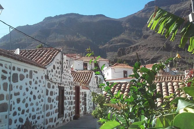 Full Day Across the Island Tour from Las Palmas - Santa Brígida: a calm historical center with green pockets nearby