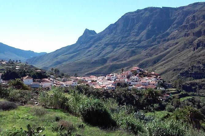 Full Day Across the Island Tour from Las Palmas - Pico de las Nieves: highest peak views, with a weather plan in mind