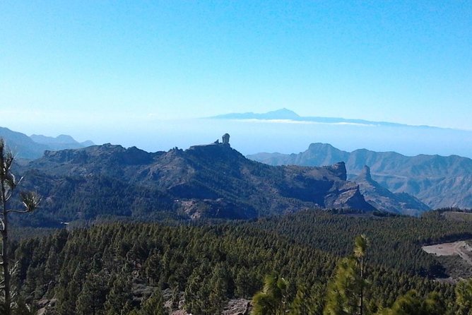Full Day Across the Island Tour from Las Palmas - Maspalomas dunes: your sand plan starts at Charco de Maspalomas