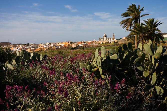 Full-Day Gran Canaria Island Tour - Cumbres - The stars: Cruz de Tejeda and Roque Nublo photo stops