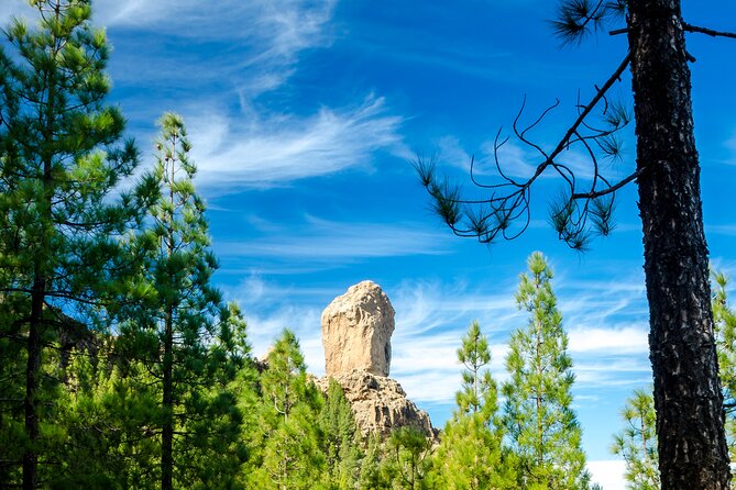 Full-Day Gran Canaria Tour with Teror, Tejeda and Lunch in Fataga - Fataga lunch at Tierra Guanche: tapas-style, local cheese, and wine