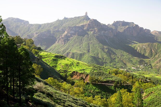 Full-Day Gran Canaria Tour with Teror, Tejeda and Lunch in Fataga - Transport and timing: minivans, big buses, and guide style