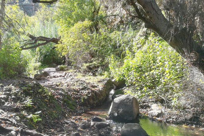 Full day Hiking and Waterfalls Experience - Key highlights before you lace up