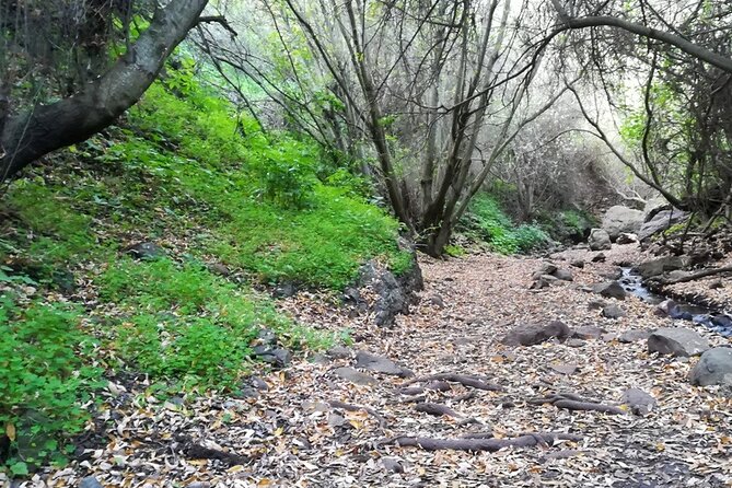 Full day Hiking and Waterfalls Experience - Waterfalls you actually experience, not just photograph