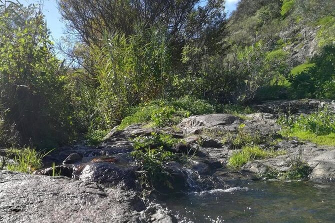 Full day Hiking and Waterfalls Experience - The trail feels real: narrow sections and height anxiety