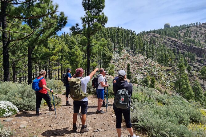 Full day Hiking Gran Canaria Peaks of Gran Canaria - Key highlights worth waking up early for