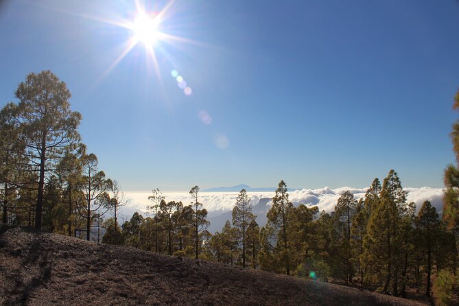 Full day Hiking Gran Canaria Peaks of Gran Canaria - Pickup and timing: Maspalomas start, and the curb doesn’t wait