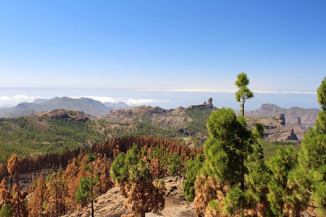 Full day Hiking Gran Canaria Peaks of Gran Canaria - The walking: pine forest paths, viewpoints, and breathing room