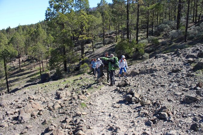 Full day Hiking Gran Canaria Peaks of Gran Canaria - Lunch and the late-afternoon payoff