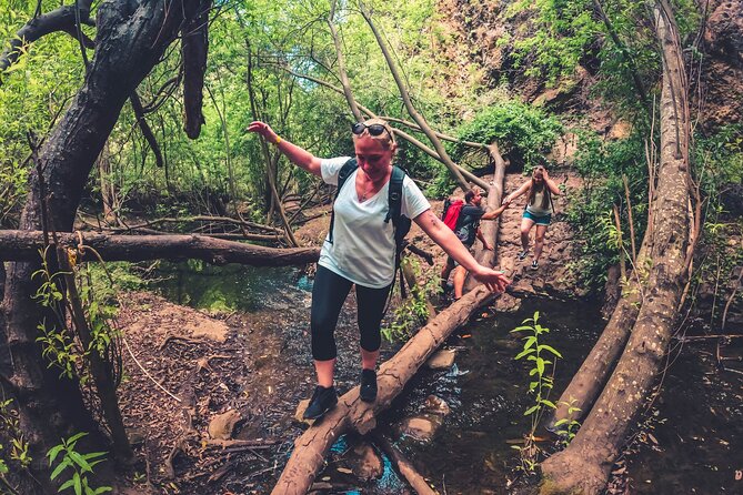 Full Day Rainforest Tour with Tasting and Swimming Time ツ - Firgas, the City of Water (and the quick dose of history)