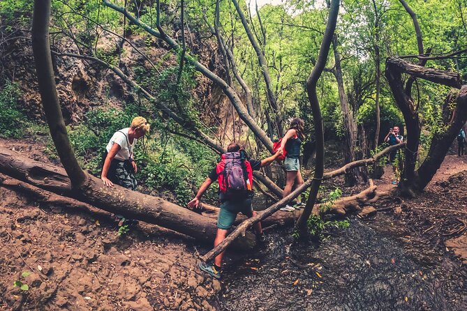 Full Day Rainforest Tour with Tasting and Swimming Time ツ - The Azuaje ravine hike: what the trail feels like