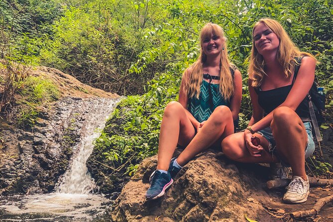 Full Day Rainforest Tour with Tasting and Swimming Time ツ - Eco-farm tasting and lunch: where local food becomes the lesson