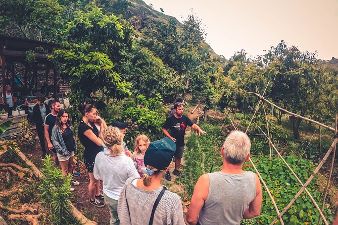 Full Day Rainforest Tour with Tasting and Swimming Time ツ - Pickup, timing, and what 7-10 hours really means