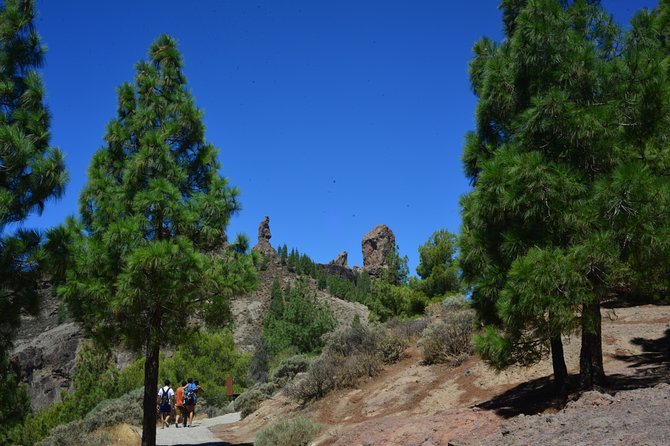 Full Day to Bandama Volcano, Center and High Peaks of Gran Canaria & Roque Nublo - Vega de San Mateo market: local tastes and a coffee pause
