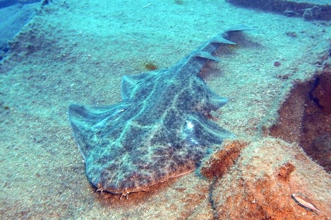 Gran Canaria 3 days / 6 dives in Various Locations - Checking in at 8:30am and getting ready with minimal fuss