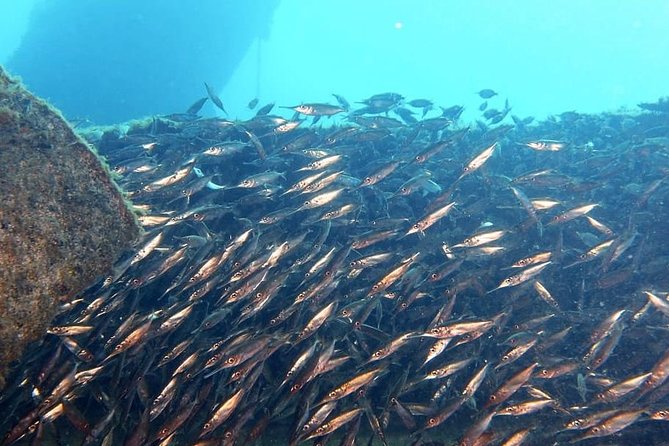 Gran Canaria 3 days / 6 dives in Various Locations - Who should book this 3-day plan (and who might want something else)