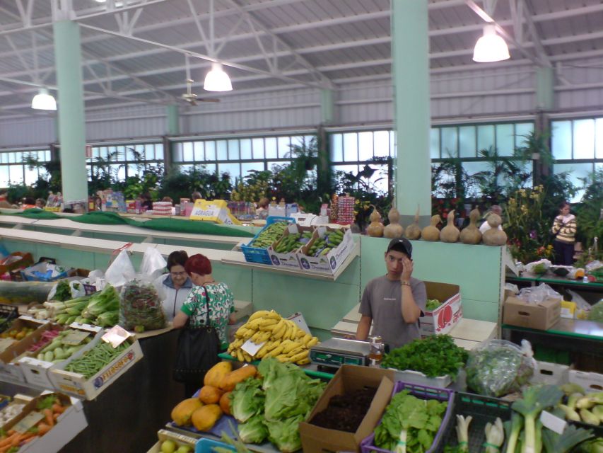 Gran Canaria: 6-Hour Teror and San Mateo Markets Tour - Weather, Clothing, and Comfort Tips for Winter