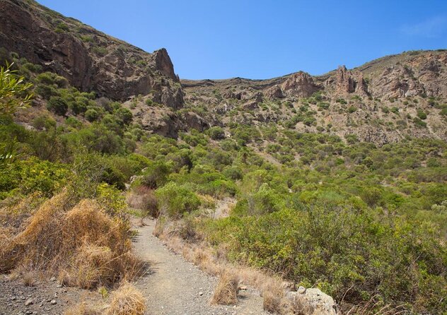 Gran Canaria 7 Highlights Small Group Tour with Tapas Picnic - Key highlights worth penciling in