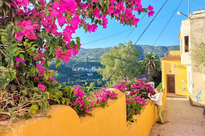 Gran Canaria 7 Highlights Small Group Tour with Tapas Picnic - Pickup timing, the red van, and why the schedule works