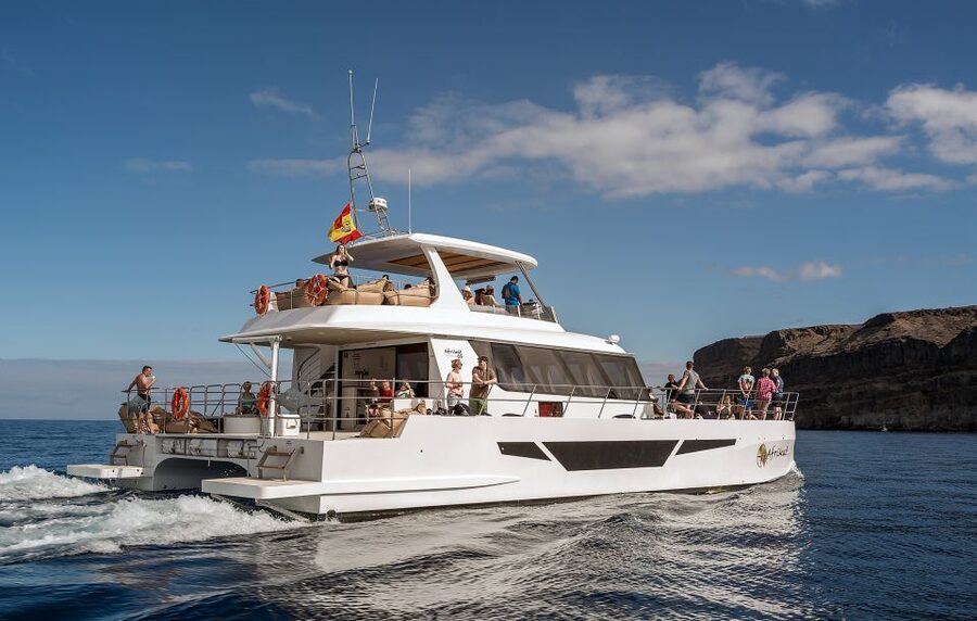 Gran Canaria: Afternoon Catamaran Cruise with Food & Drink - Deck time, sun, and comfort: what you should pack