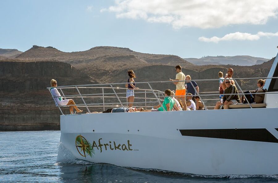 Gran Canaria: Afternoon Catamaran Cruise with Food & Drink - The Mogan-to-cliffs stretch: what you’re really seeing