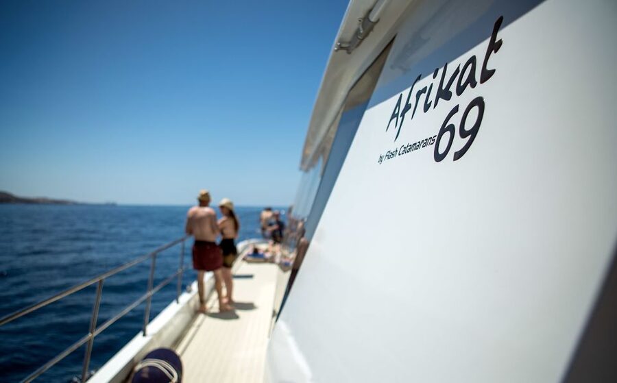 Gran Canaria: Afternoon Catamaran Cruise with Food & Drink - Snorkeling reality check: how to get the most from the stop