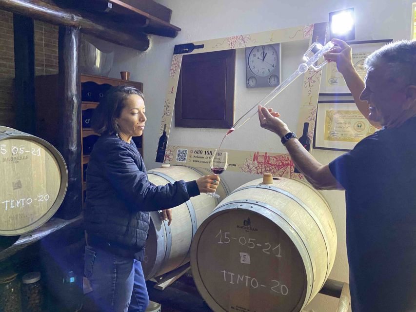 Gran Canaria: Best Wineries and Views Tour - Cheese and local produce pairings: more than a snack