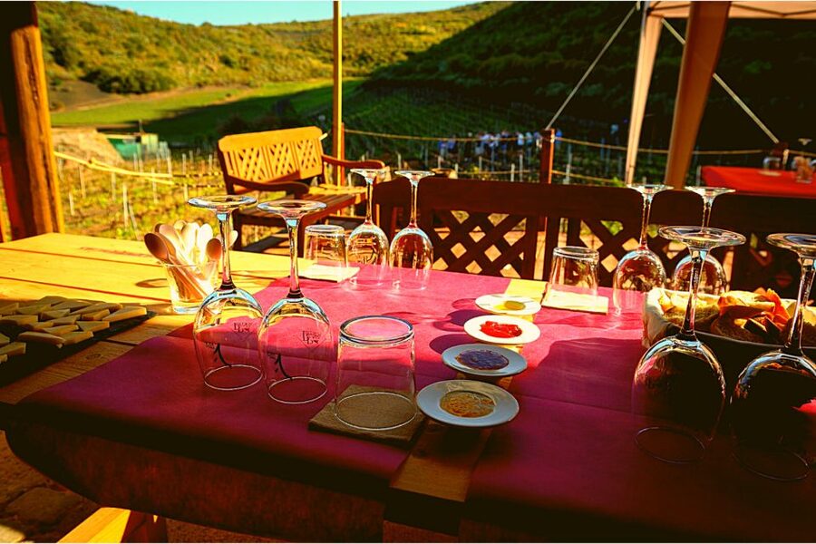 Gran Canaria: Best Wineries and Views Tour - Transport and pace: small-group comfort, with one practical heads-up