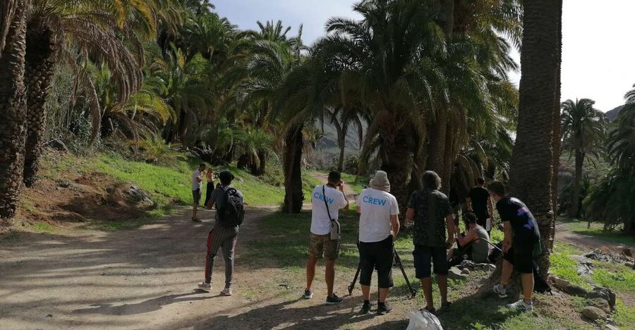 Gran Canaria: Camel Ride at Camel Safari Park - Camel Safari Park La Baranda and the Oasis of 1,000 Palms