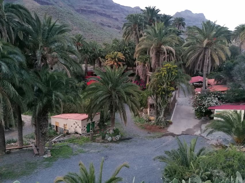 Gran Canaria: Camel Ride at Camel Safari Park - The value question: is $23 per person worth it?