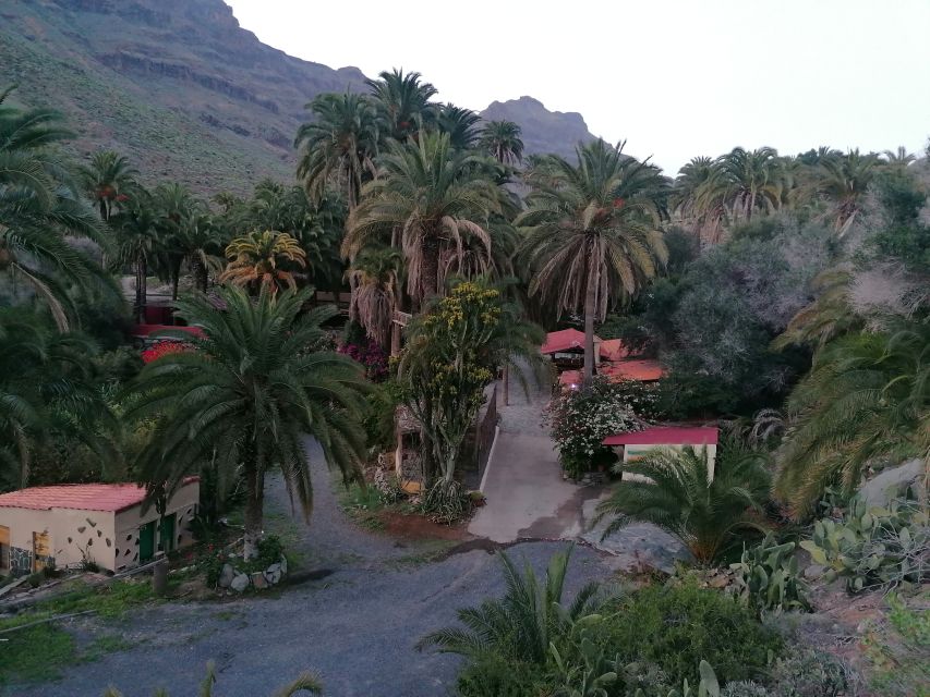 Gran Canaria: Camel Ride at Camel Safari Park - How the 30-minute camel ride really feels