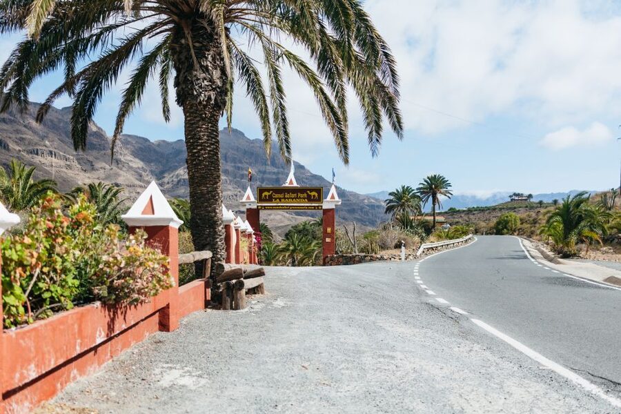 Gran Canaria: Camel Ride Safari w/ Optional Food & Transport - Should you book the Camel Safari Park La Baranda experience?