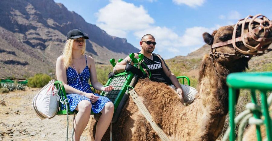 Gran Canaria: Camel Ride Safari w/ Optional Food & Transport - Tropical gardens and fruit trees: what your guide shows you