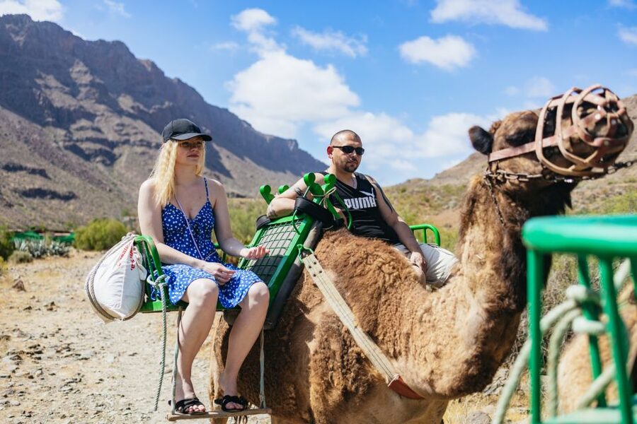 Gran Canaria: Camel Ride Safari w/ Optional Food & Transport - The 60-minute camel ride through the Oasis of the 1,000 Palms
