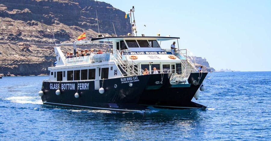 Gran Canaria: Catamaran Dolphin Watch Cruise with Snorkeling - Key things I’d look for on this cruise