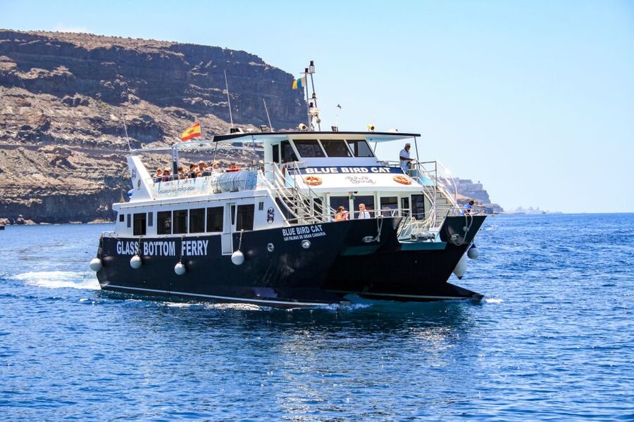 Gran Canaria: Catamaran Dolphin Watch Cruise with Snorkeling - From Puerto Rico to Puerto Base: the start of your Atlantic outing