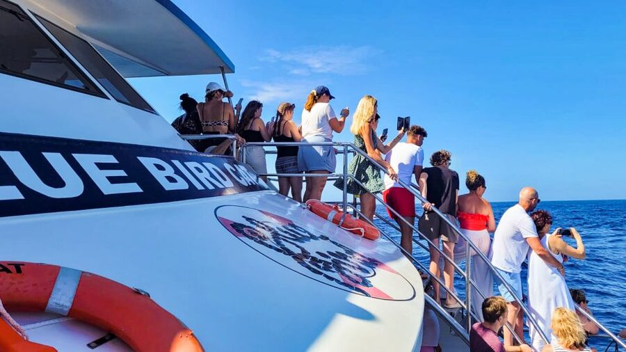 Gran Canaria: Catamaran Dolphin Watch Cruise with Snorkeling - The onboard toboggan slide and the soft-drink payoff